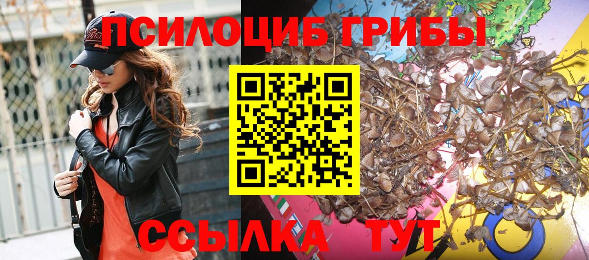 Галлюциногенные грибы Psilocybine cubensis  Галлюциногенные грибы прущие грибы  Вход с VPN  Урюпинск 